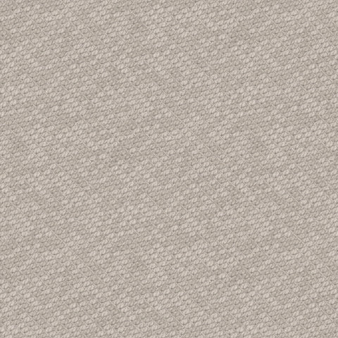 Mist Grey Weave