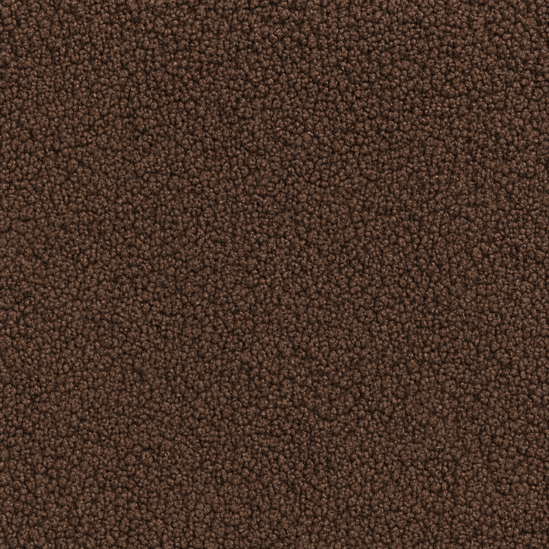 Walnut Teddy Brown